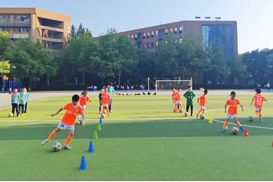 精彩纷呈，球场上的举足轻重