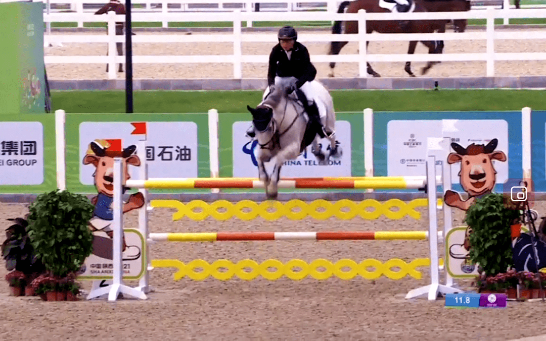 南美马术选手奋力拼搏，取得奖牌的简单介绍