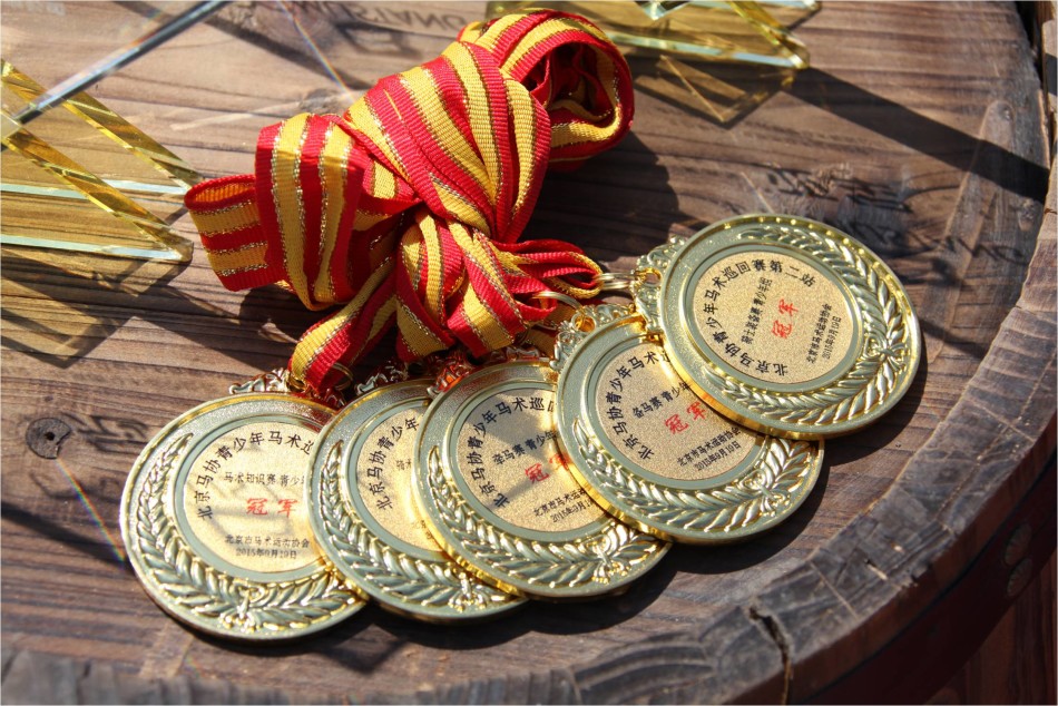 南美马术选手奋力拼搏，取得奖牌的简单介绍