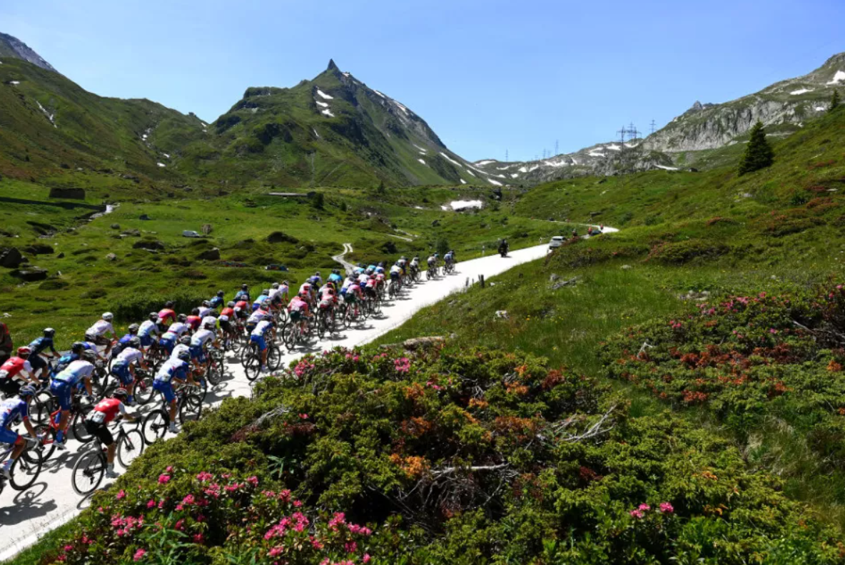 瑞士迎战德国:险胜或大捷? 瑞士迎战德国:险胜或大捷?